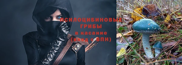 2c-b Мегион
